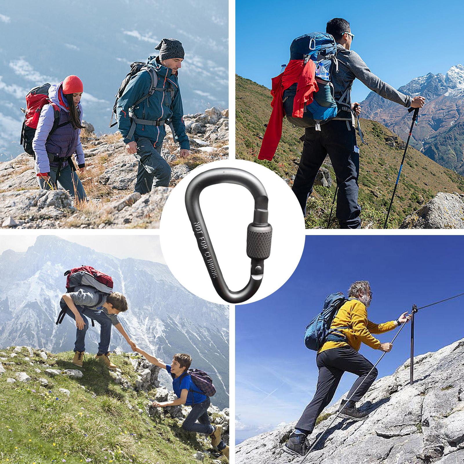 Уличный алюминиевый D-образный – обзор и цена Carabiner Locking D
